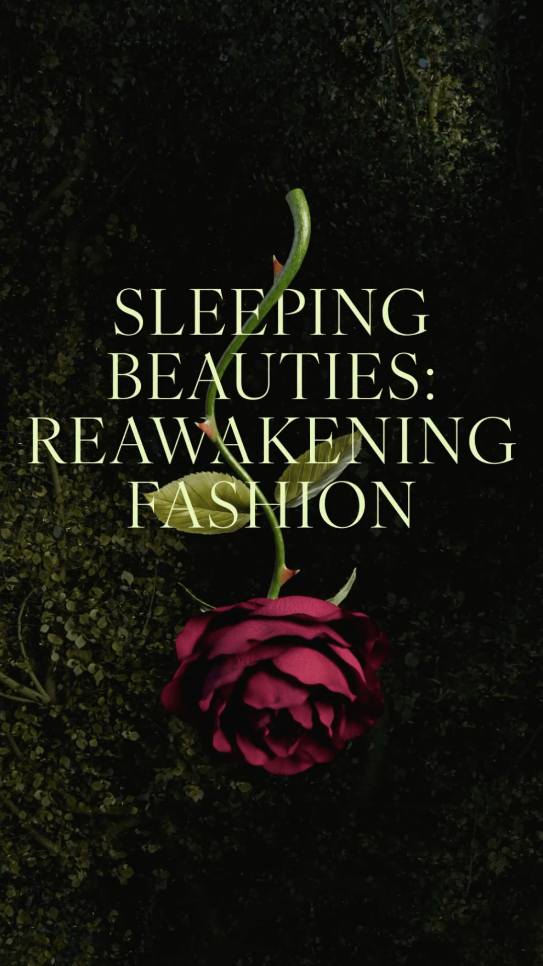Sleeping beauties: reawakening fashion met gala theme explained