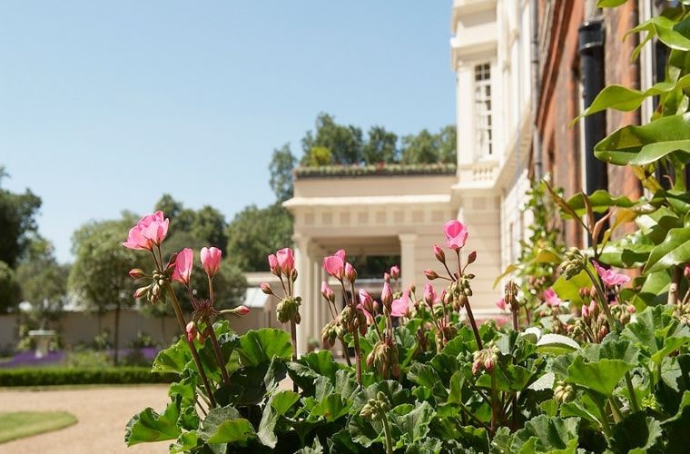 Clarence house royal gardens