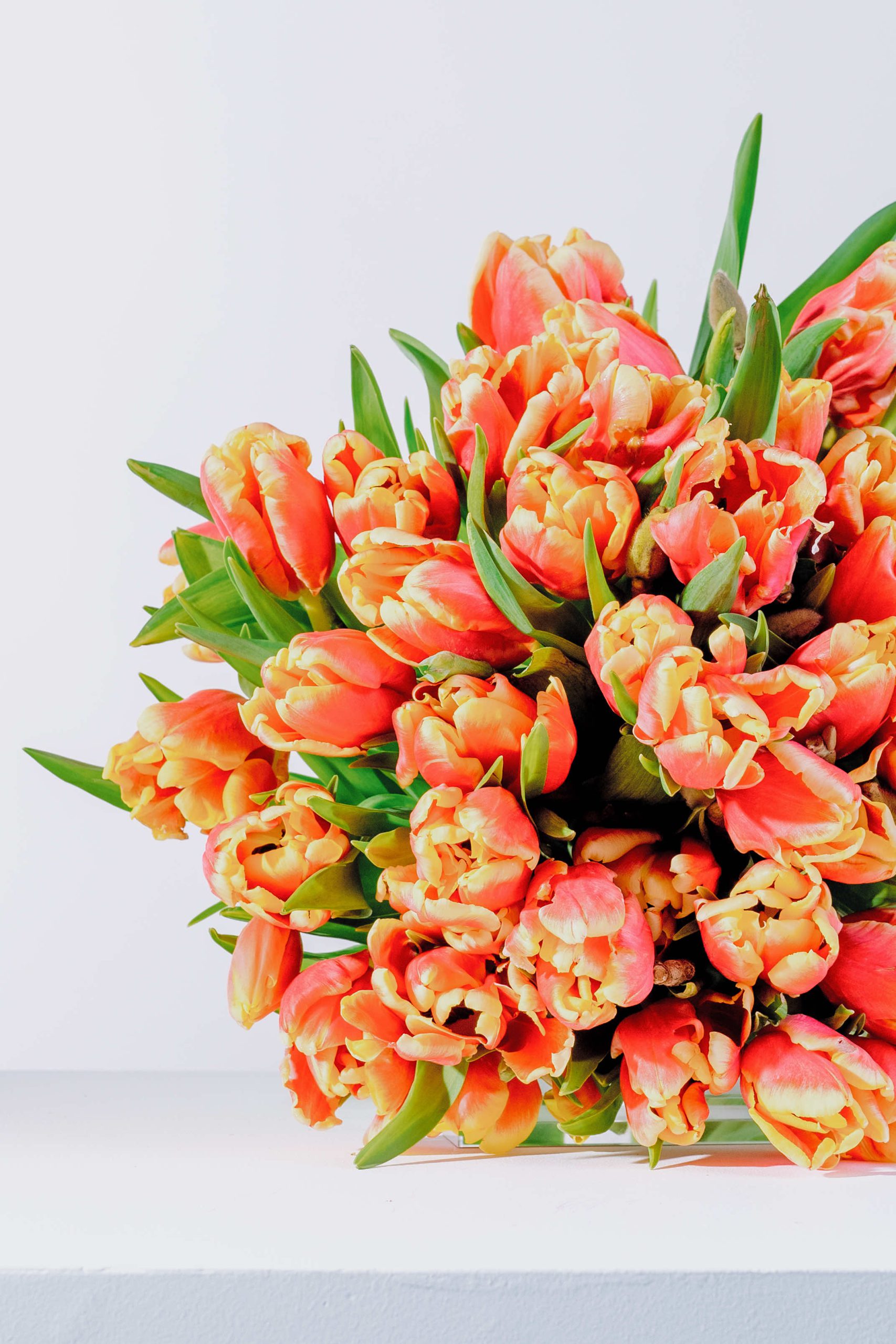 Blooming haus - topaz tulips bouquet closeup