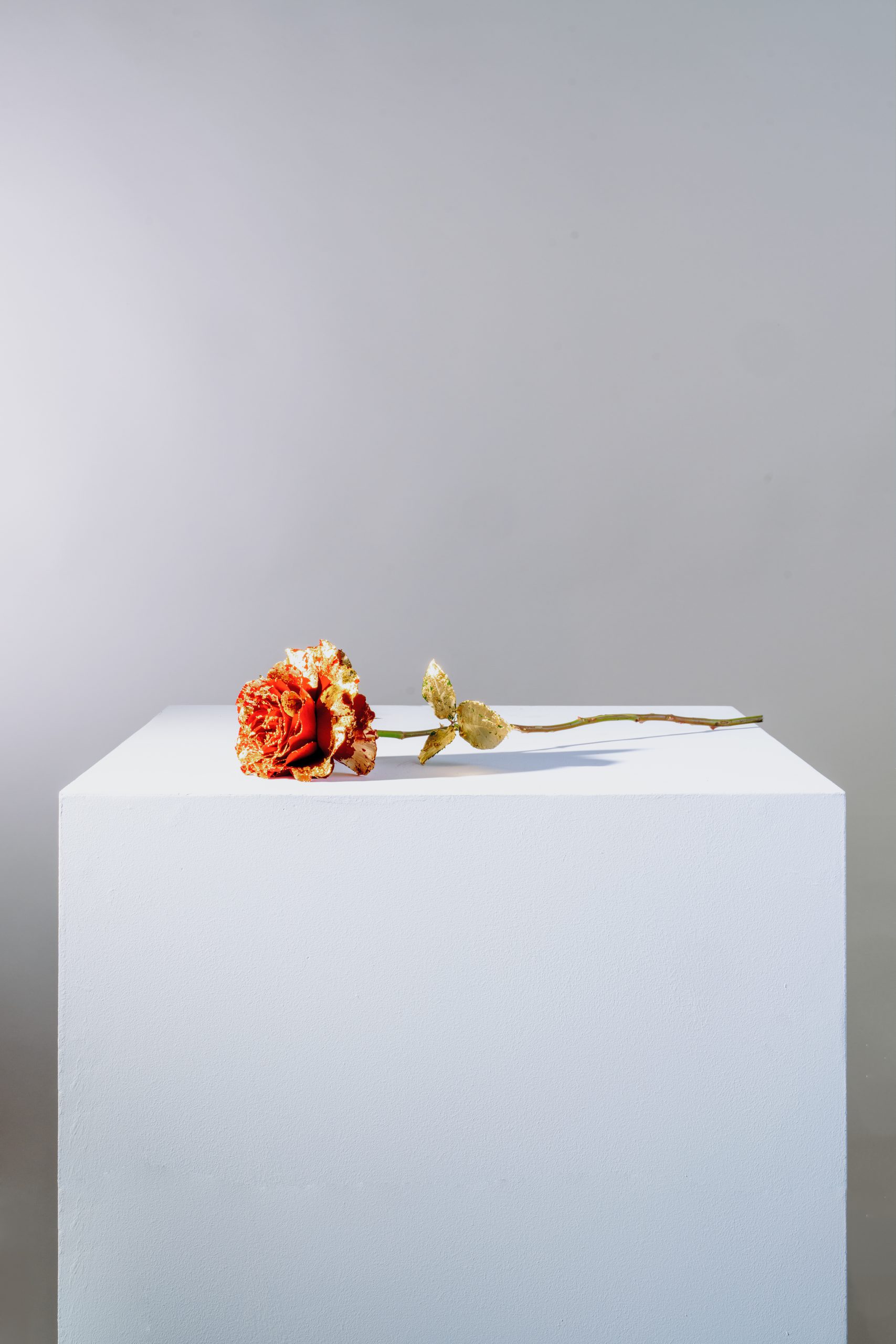 Blooming haus - ultra-luxury 24k gold rose