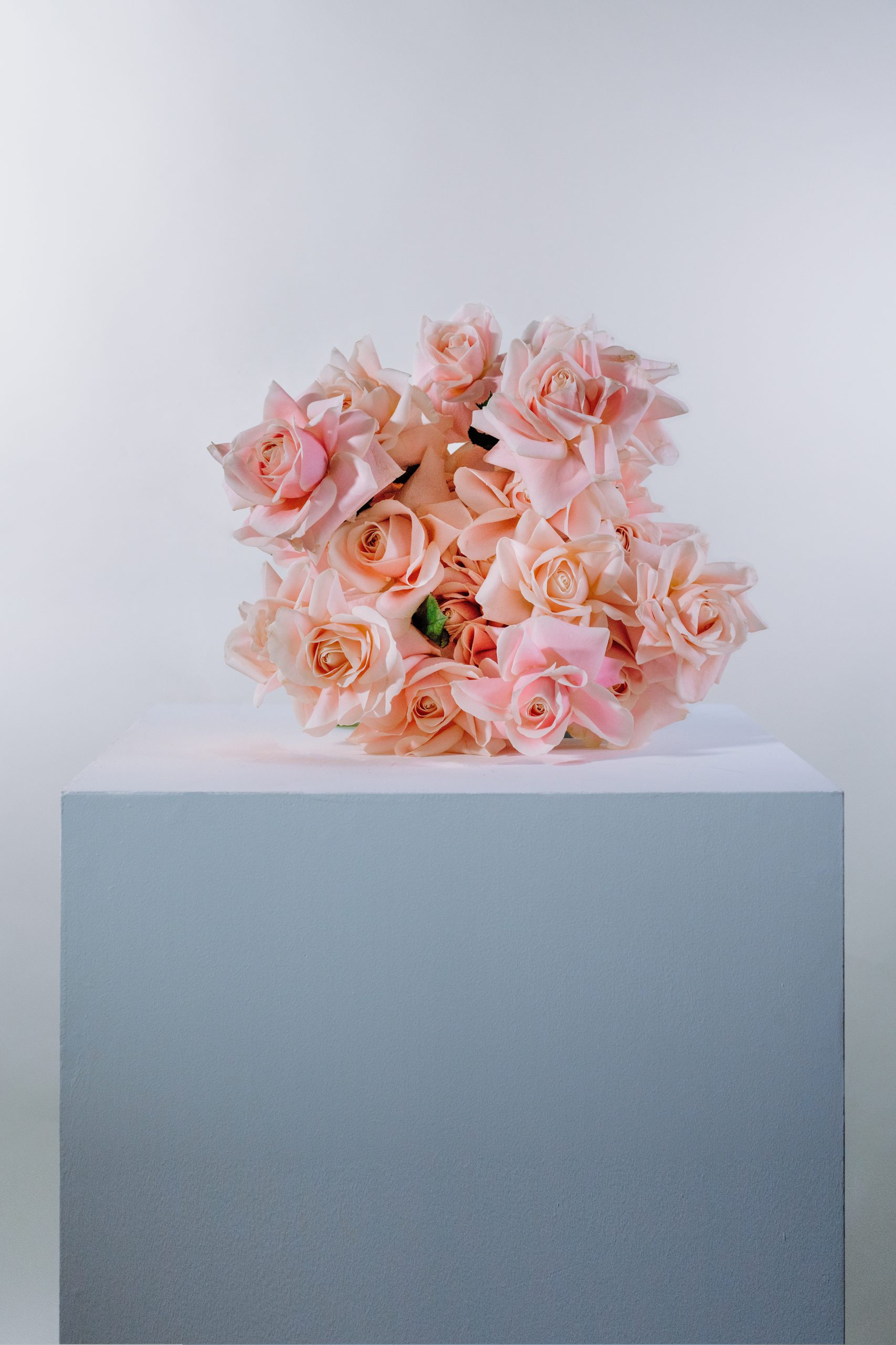 Blooming haus bouquets - sweet peach delight bouquet