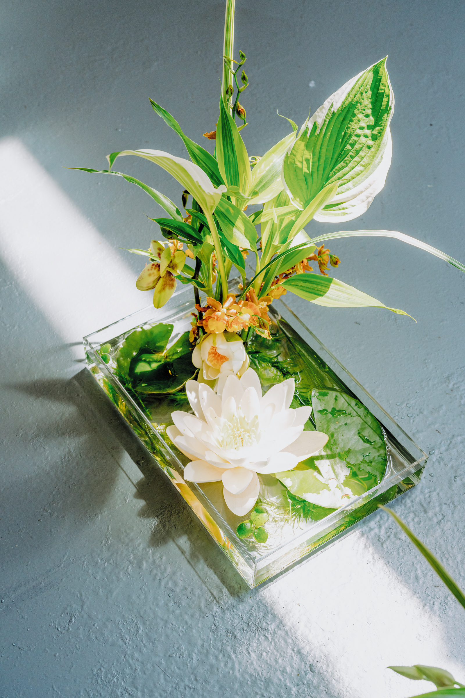 Blooming haus - pangaia official arrangements-5