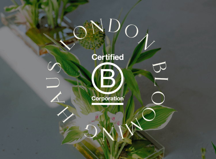 Bcorp certified