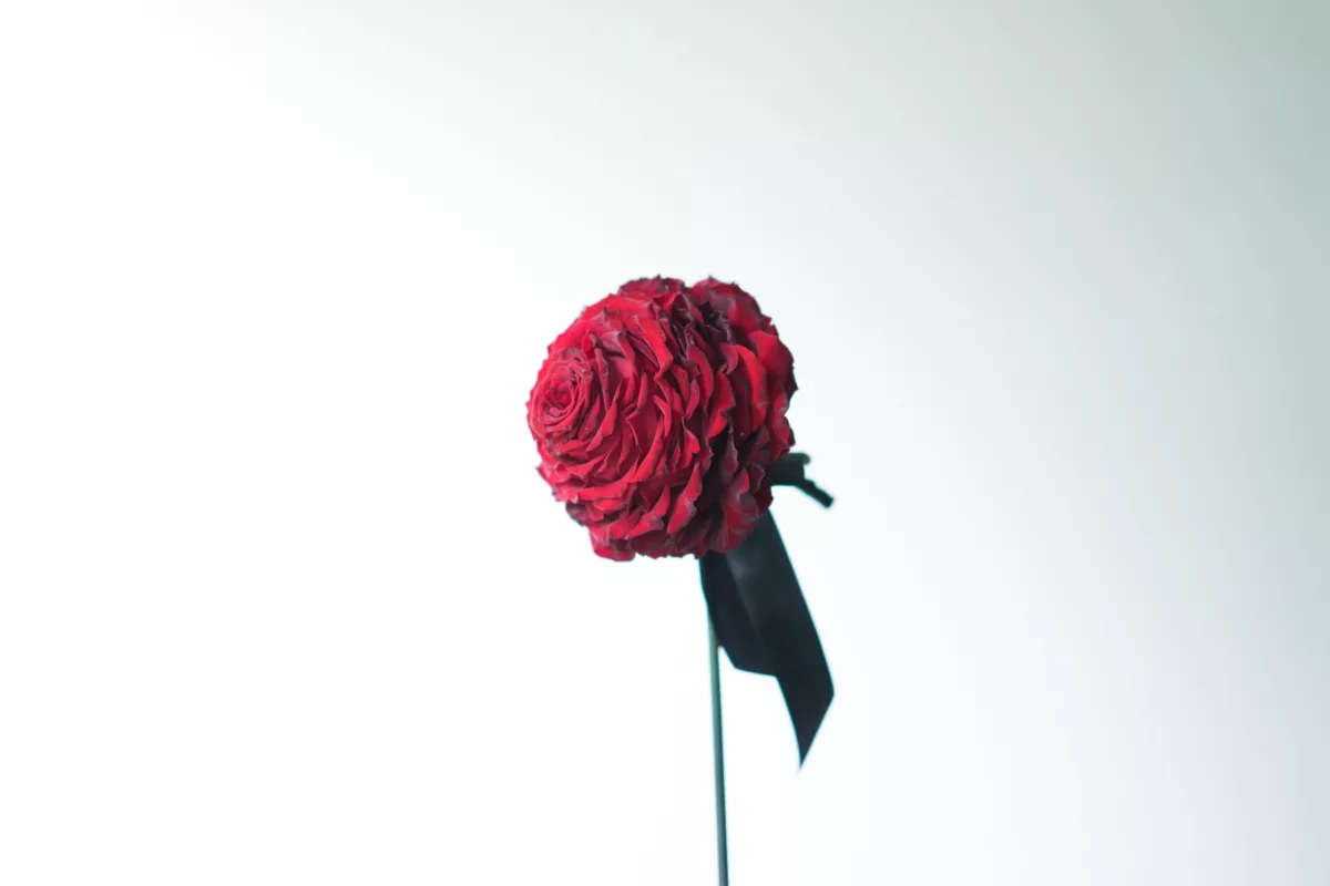 Composite bouquet blooming haus 1200x800 1