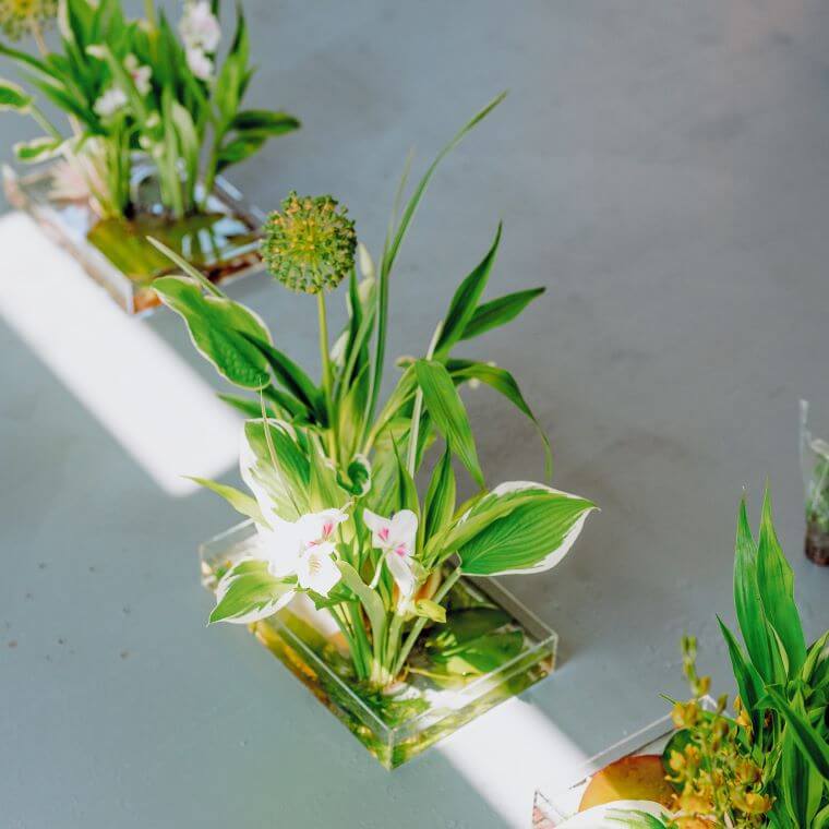 Three delicate floral centrepieces consisting of white flowers and green foliage in water