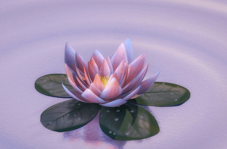 A peach and white lotus blossom flower with green foliage. Flower fashion