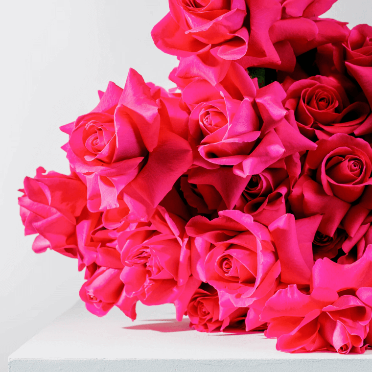 A bouquet of ruby red roses