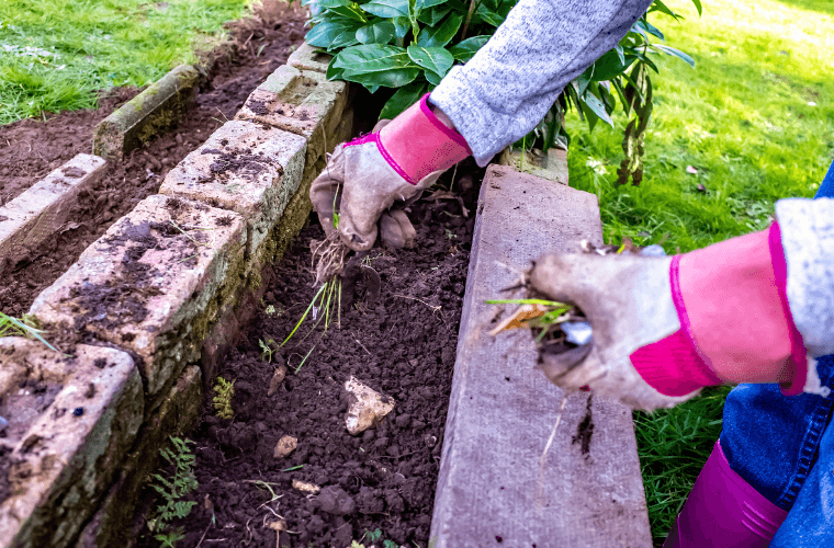 A woman clearing debris from her garden