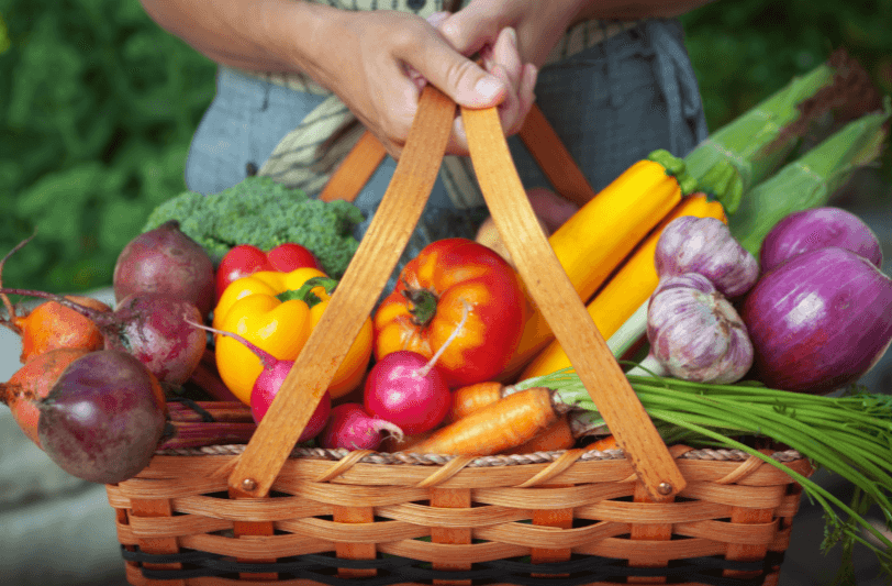 Hands holding a basket of fruit and veg from an organic garden