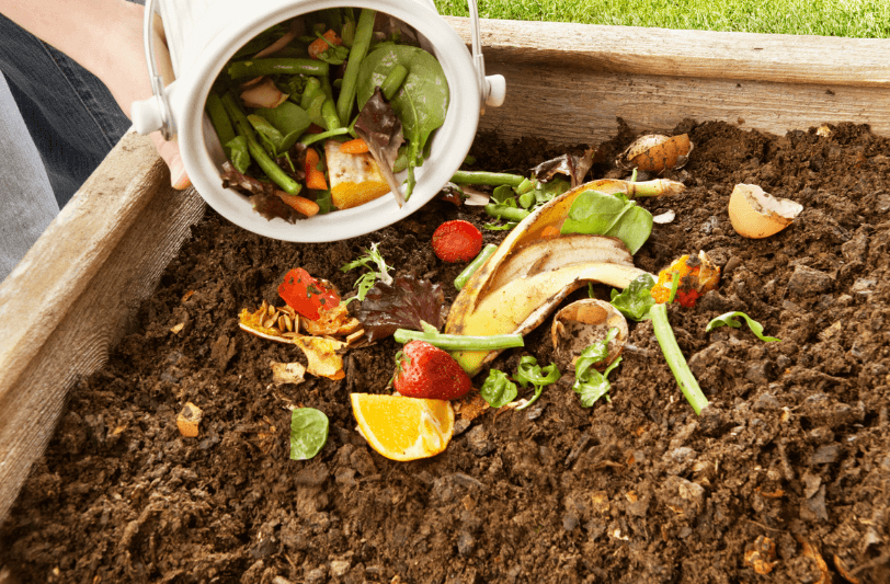 Someone making their own organic compost