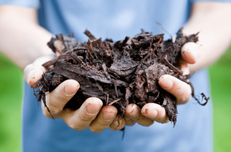 A pair of hands holding tree bark mulch