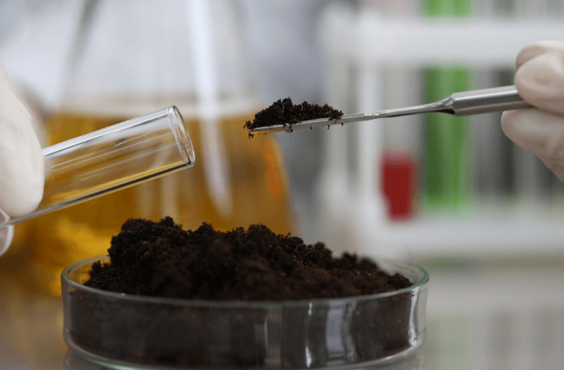 Someone putting soil in a test tube to test it