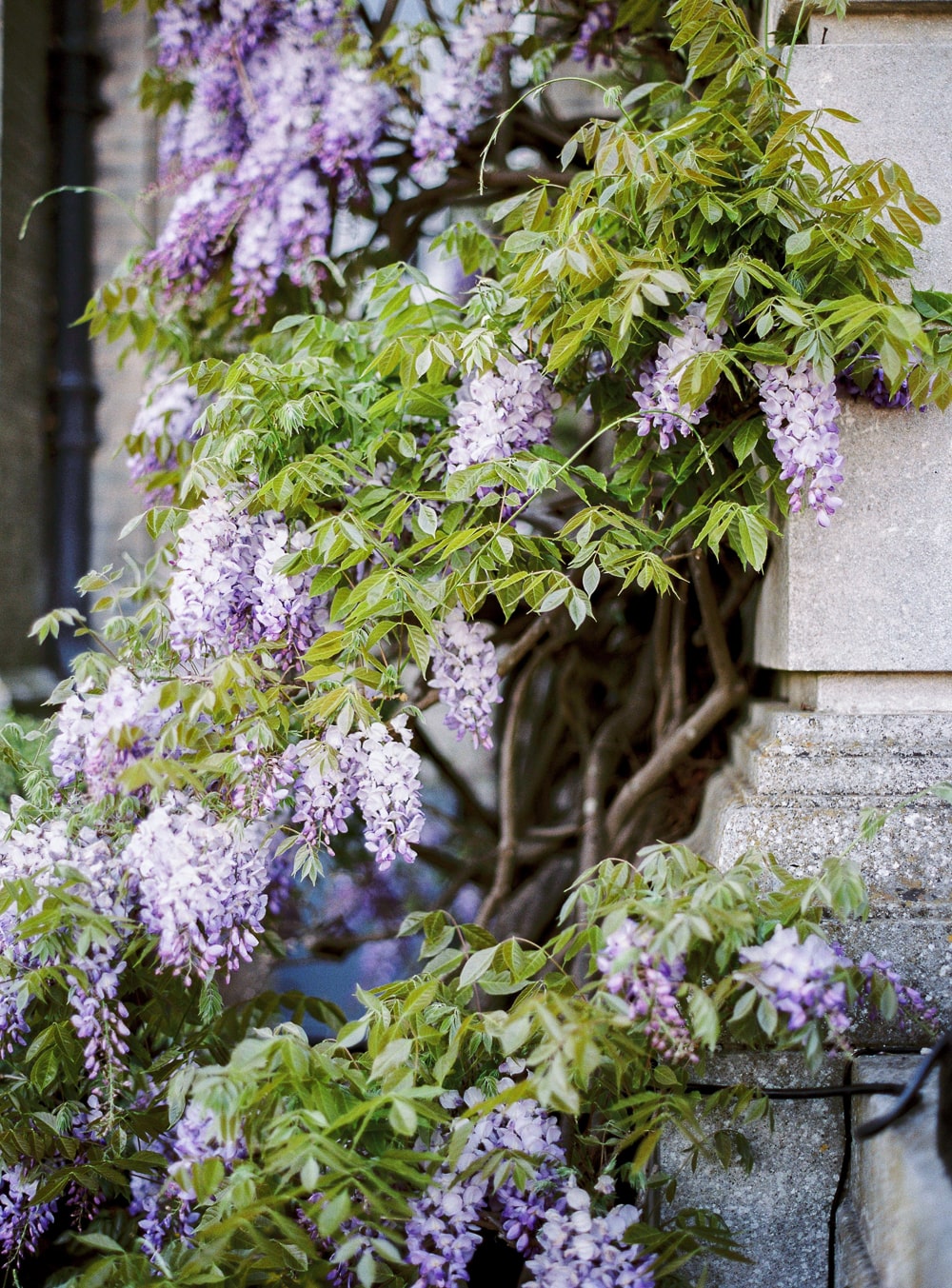 Hedsor house wedding review2 min 2