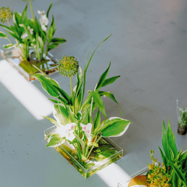Three floral displays in water in a line featuring white and gold flowers and green and white foliage