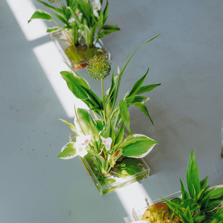 A line of floral designs in water featuring green and white foliage and white flowers
