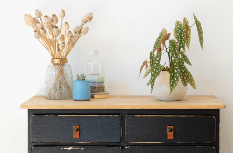 A begonia plant as part of the decor on a dresser