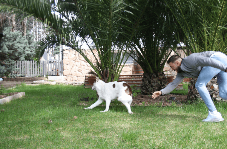 A man playing with a dog in a garden