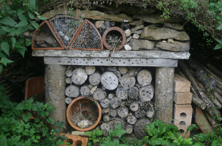 A bug hotel