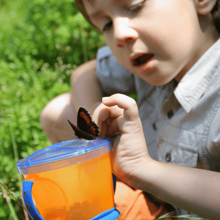 A young girl with a plastic container that a butterfly has landed on