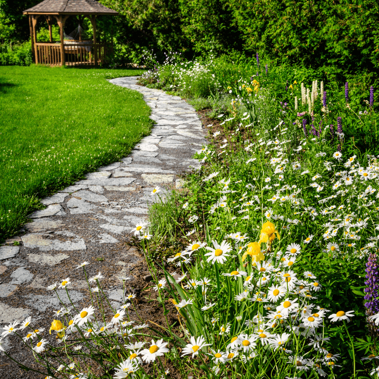 Wildflowers in a garden with a path and grass