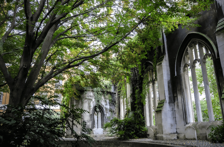 Trees and ruins at st. Dunstan's in the east