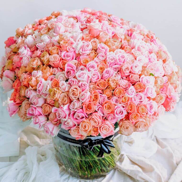 Bouquet of 500 roses in different shades of pink