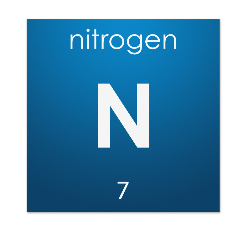 Nitrogen entry from the periodic table with the word nitrogen, letter n, and number 7