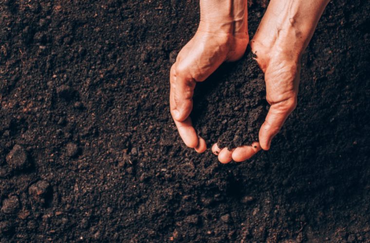 A pair of hands holding some soil about the rest of the earth