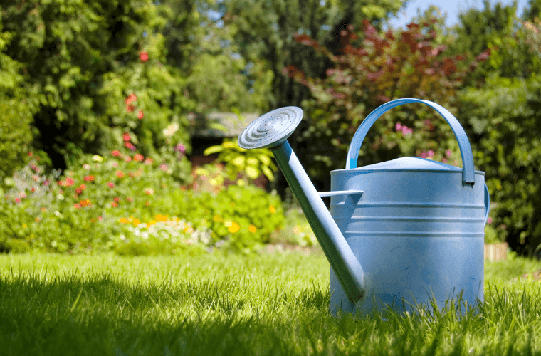 A watering can on grass