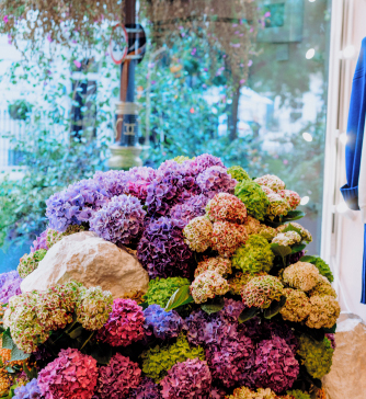A vibrant Blooming Haus display of hydrangeas in various colors, including purple, pink, and green, is arranged in a lush, voluminous mound. The flowers are set against a bright window backdrop, with greenery visible outside. A portion of a blue garment appears on the right side.
