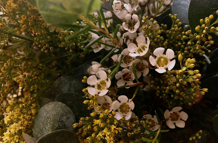 Royal families favourite flowers blooming haus