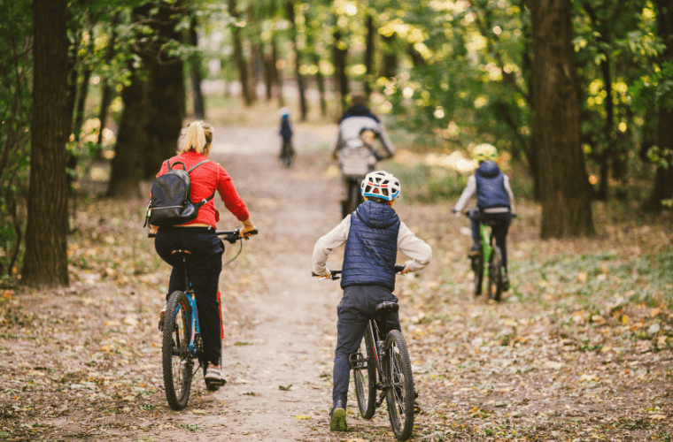Adults and children cycling along a path between trees