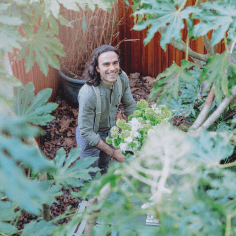 Aerial image of michael from blooming haus