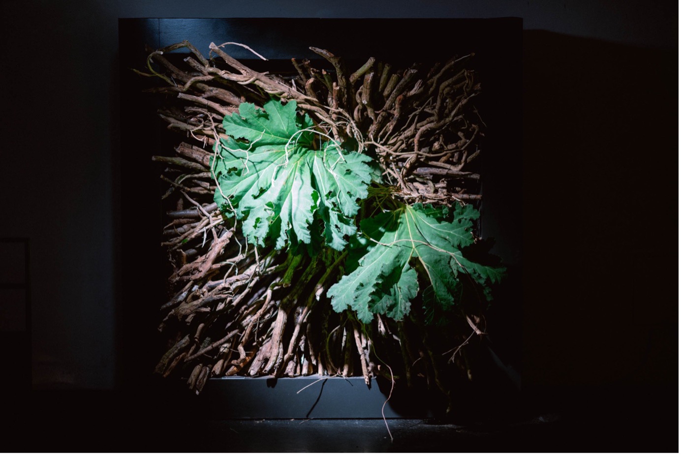 Master Florist Exhibition in Austria