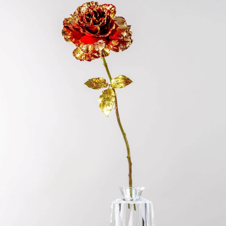 Single red rose with petals coated with 24k gold