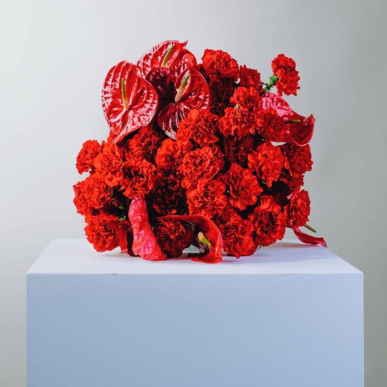 A bouquet of red flowers including calisto anthurium and soho carnations