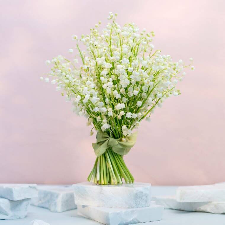 A small bouquet of lily of the valley